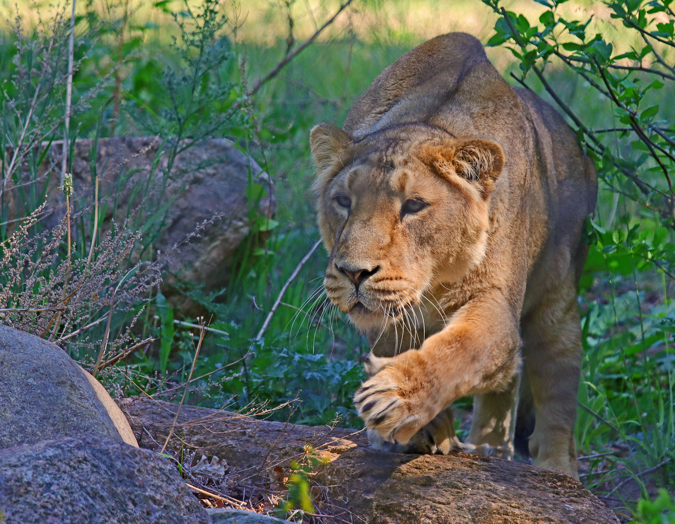 Anschleichen Foto & Bild youth, natur, schwerin Bilder auf