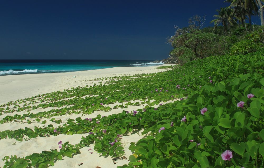 Anse Bazarca