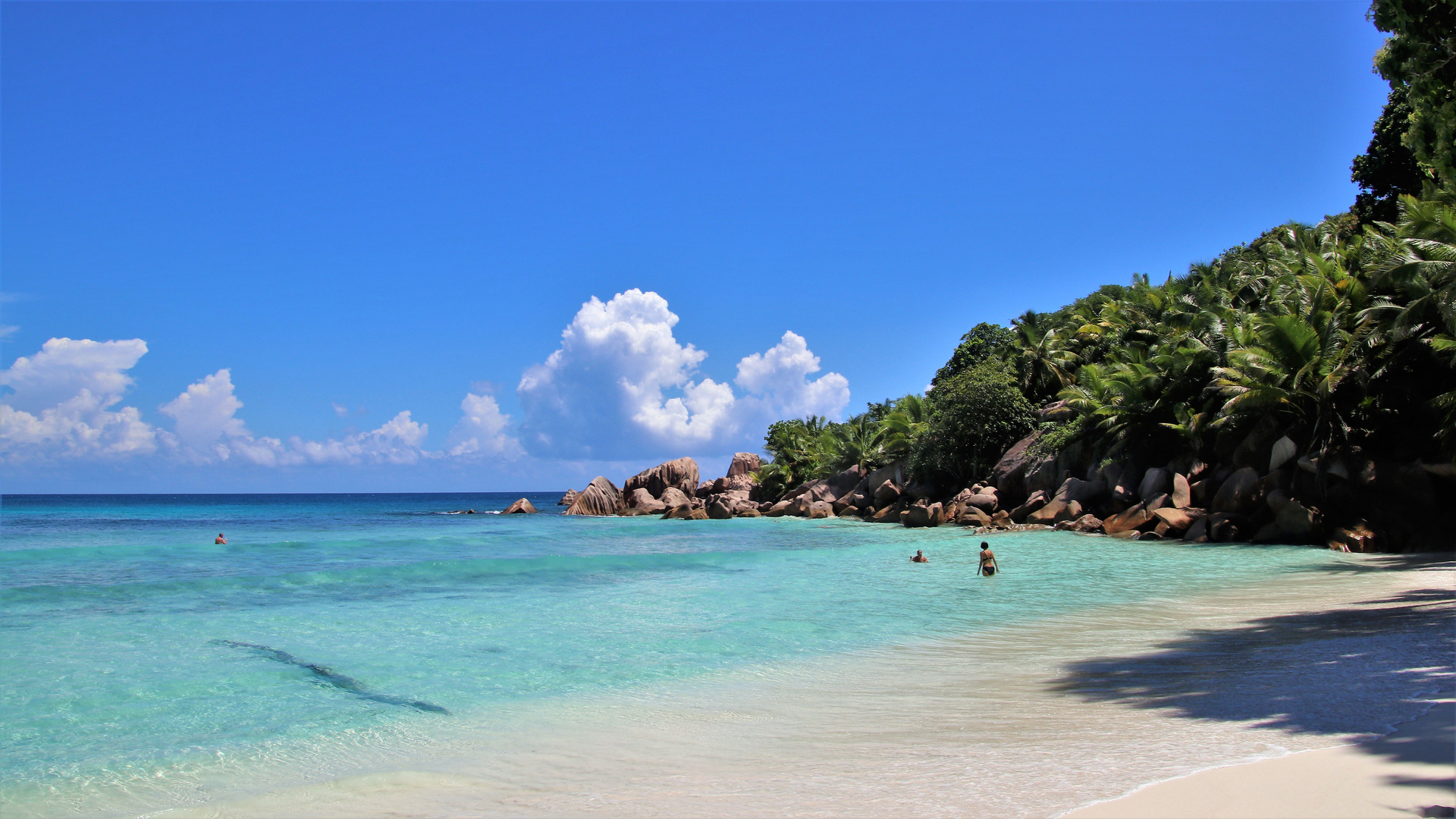 Anse Coco