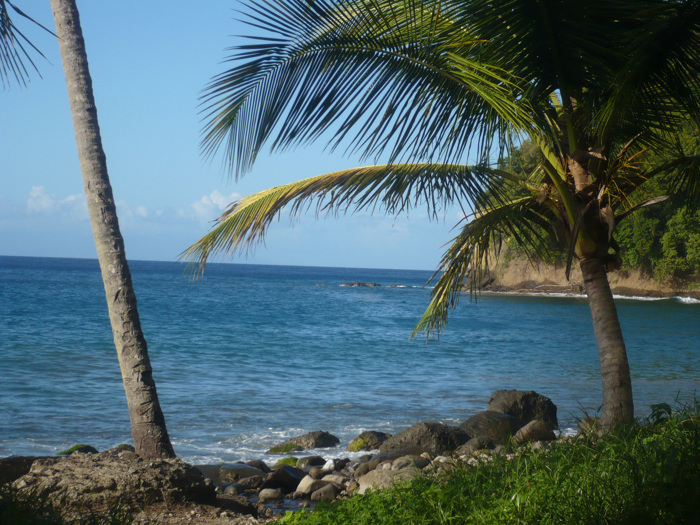 Anse Couleuve(Martinique)