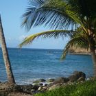 Anse Couleuve(Martinique)