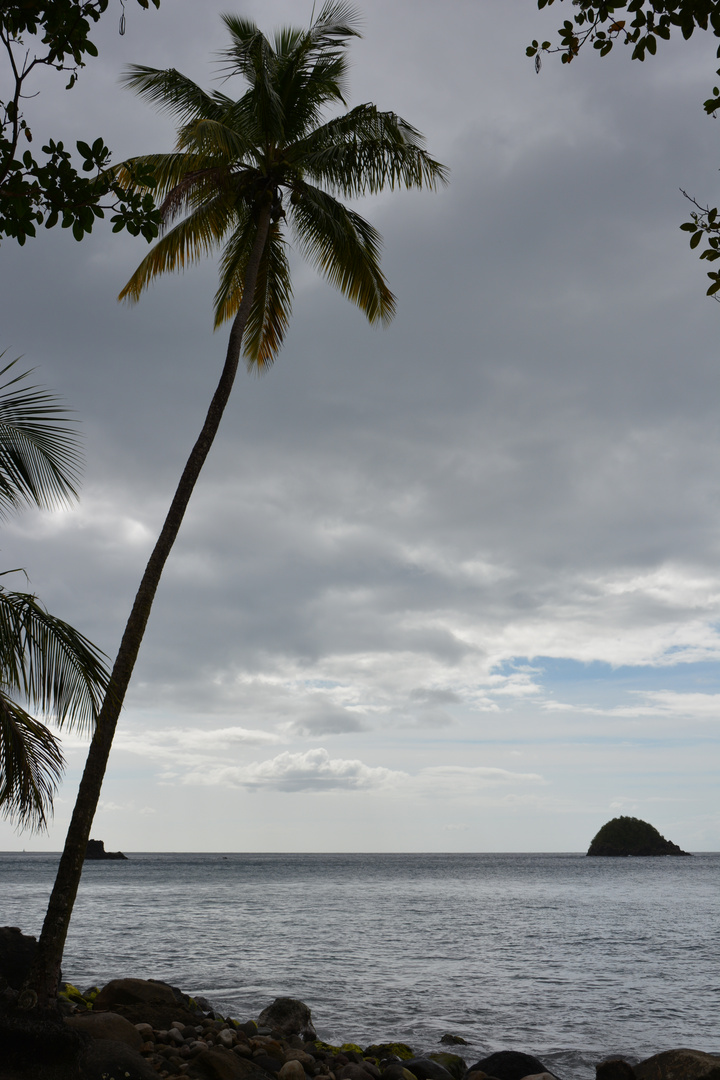 Anse couleuvre Martinique