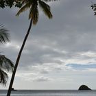 Anse couleuvre Martinique