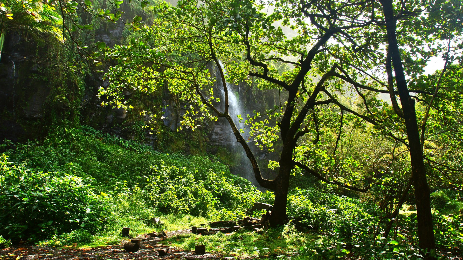 Anse des cascades