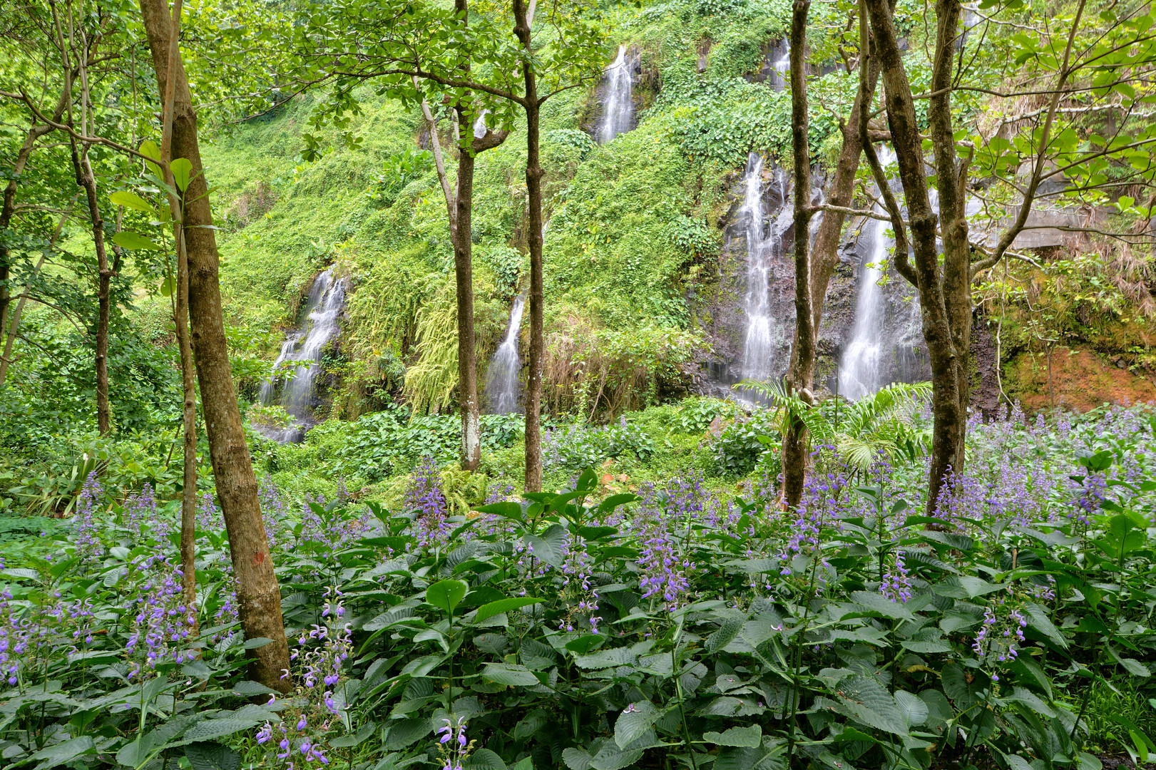 Anse des Cascades