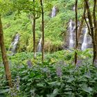 Anse des Cascades