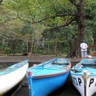 Anse des Cascades, La Réunion - 1