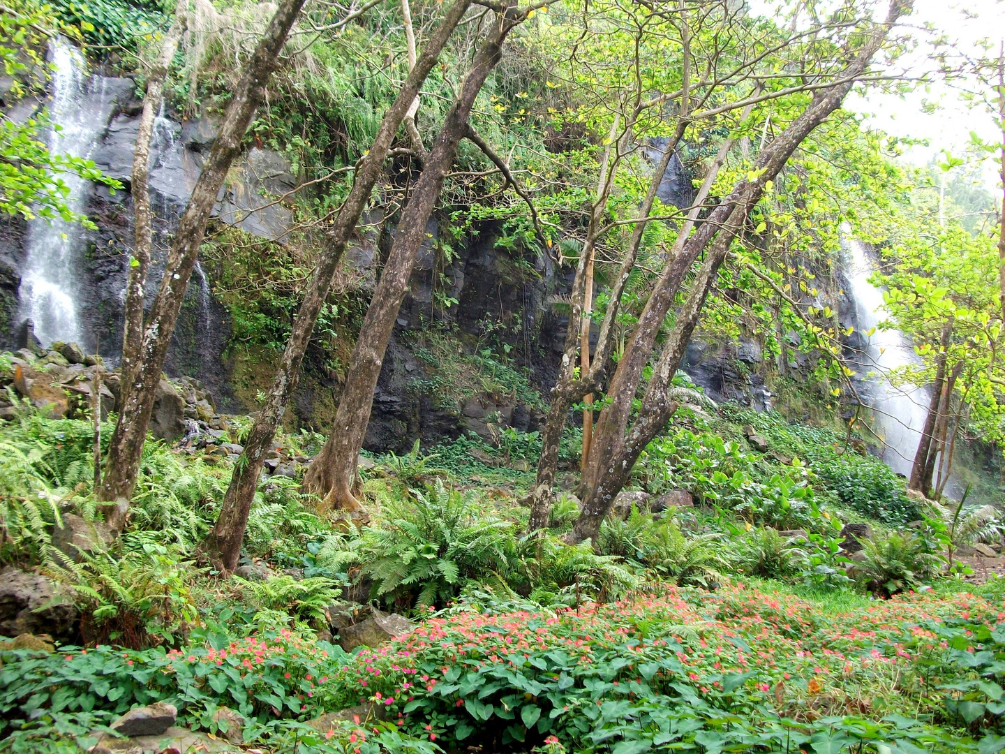 Anse des Cascades, La Réunion - 3