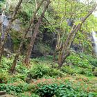 Anse des Cascades, La Réunion - 3