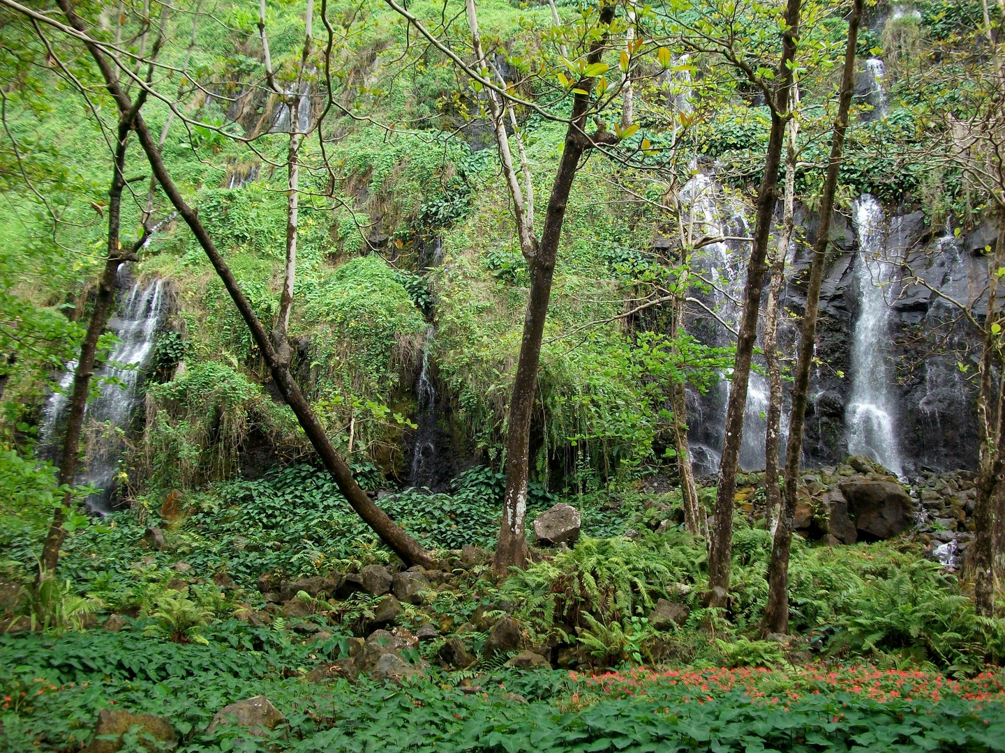 Anse des Cascades, La Réunion - 4