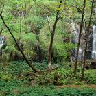 Anse des Cascades, La Réunion - 4