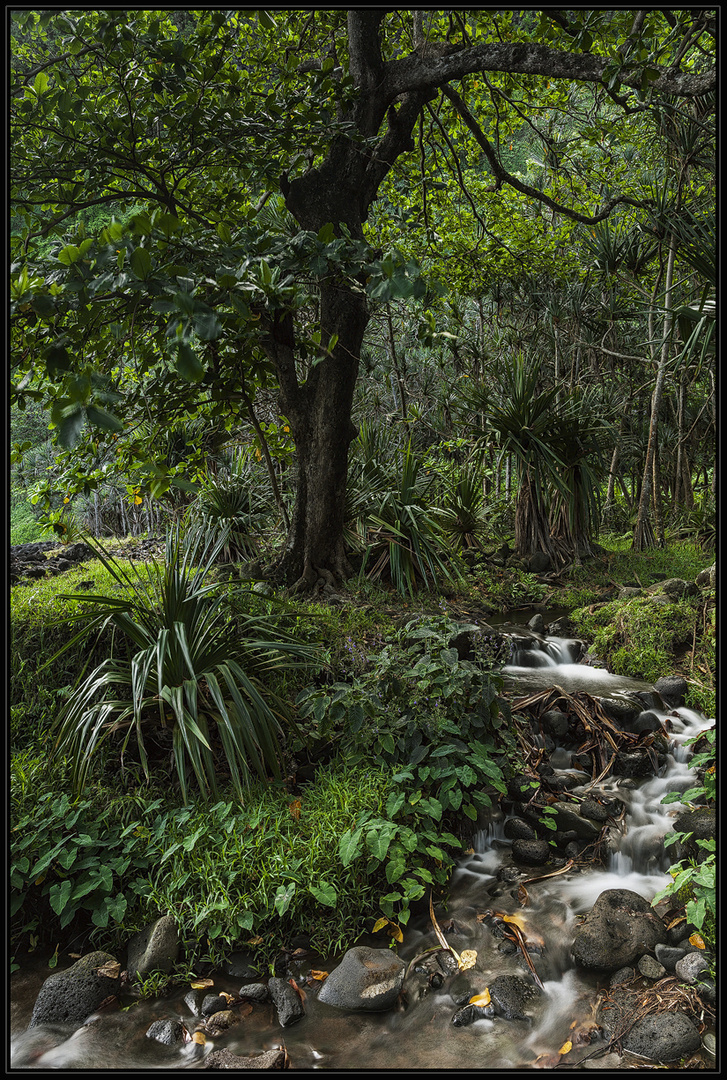 Anse des Cascades - La Réunion
