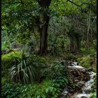 Anse des Cascades - La Réunion