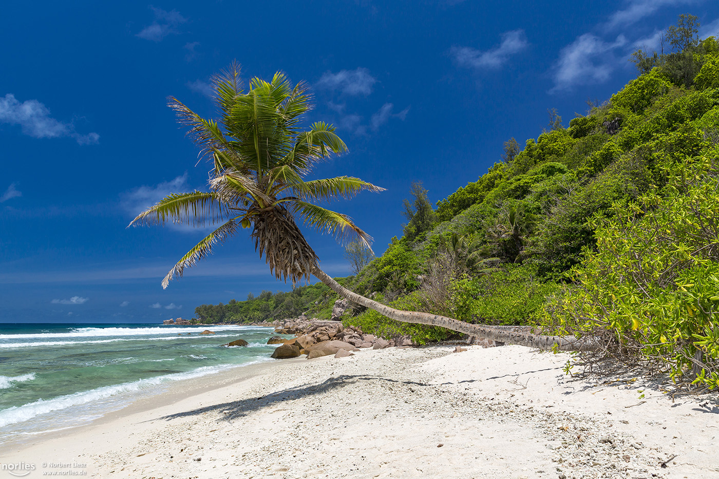 Anse Fourmis