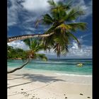 Anse Gaulettes - Mahe Island - Seychelles 2009