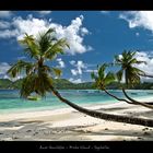 Anse Gaulettes - Mahe Island - Seychelles 2009