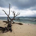 Anse Gaulettes/La Digue