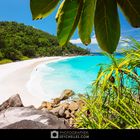 Anse Georgette, Praslin