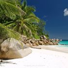 Anse Georgette - Praslin Island - Seychelles 2009