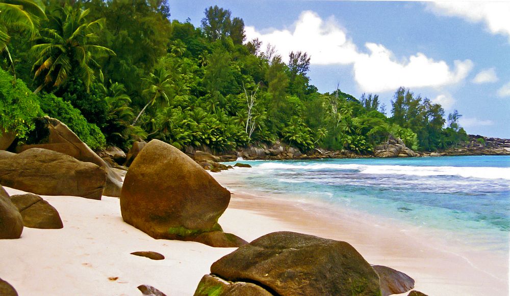 # ANSE INTENDANCE #