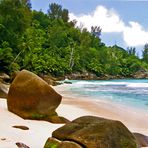 # ANSE INTENDANCE #