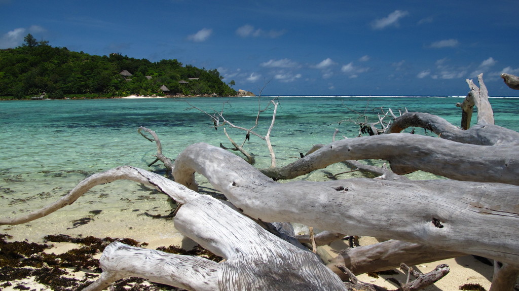 Anse La Farine