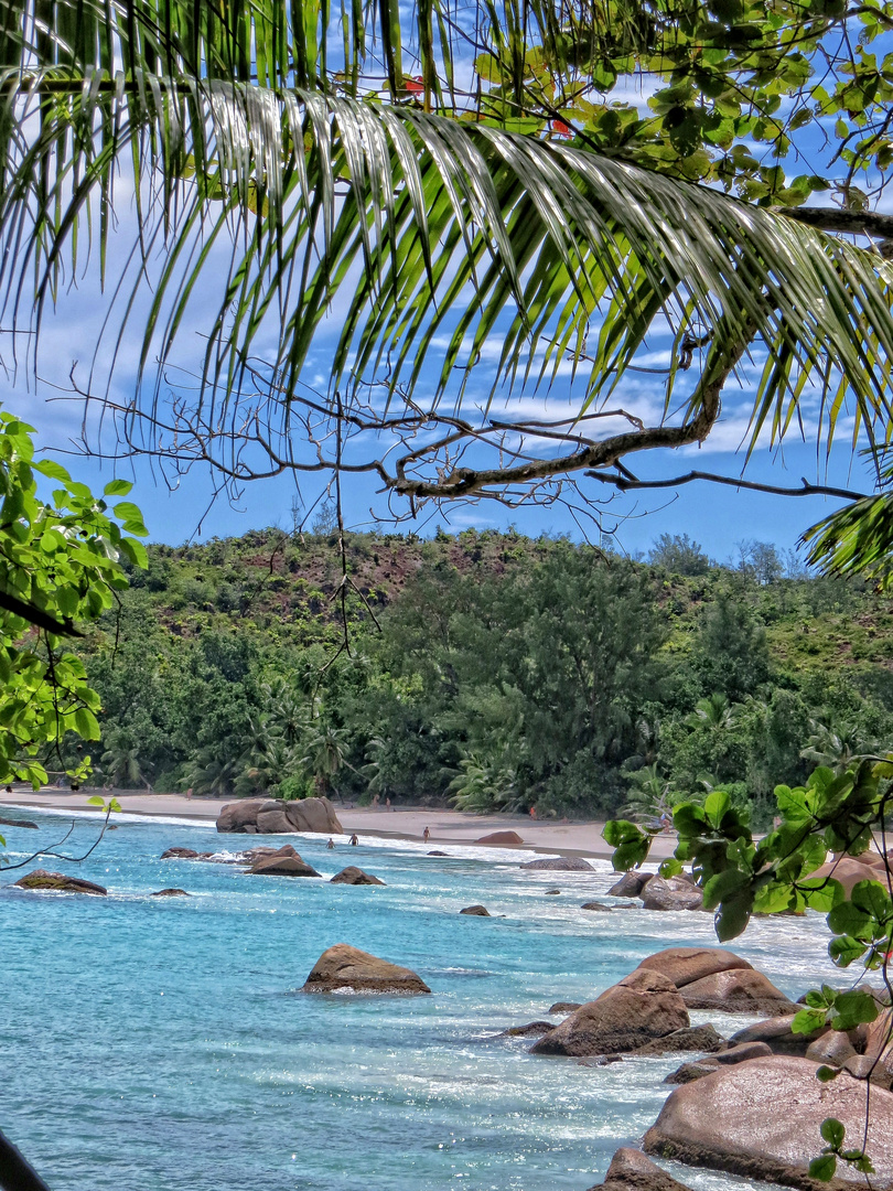 Anse Lazio