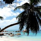 Anse Lazio auf Praslin Island