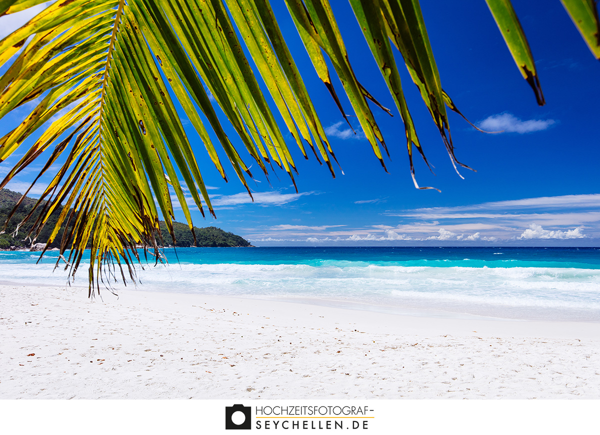 Anse Lazio, Praslin, Seychelles (Dezember 2015)