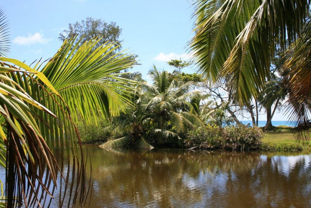 Anse Lazio River