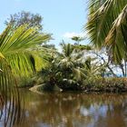 Anse Lazio River