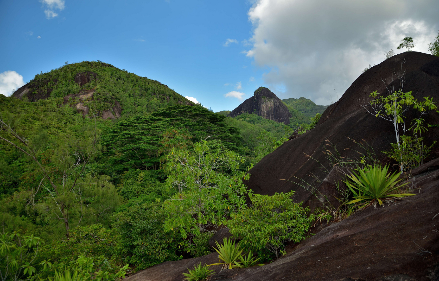 Anse Major Trail