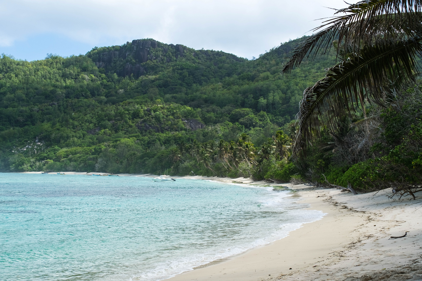 ...Anse Marie-Louise...