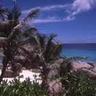 Anse Patates, La Digue