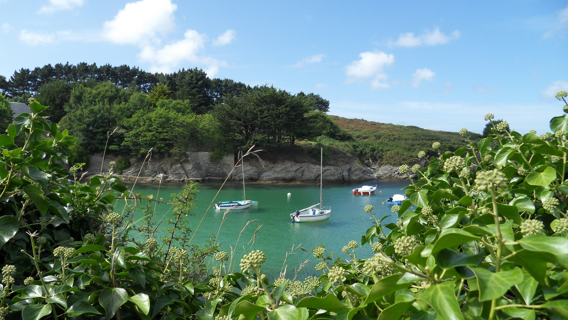 Anse (port) entre Sauzon et Palais