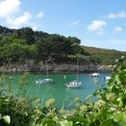 Anse (port) entre Sauzon et Palais