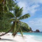 Anse Severe - La Digue, Seychellen