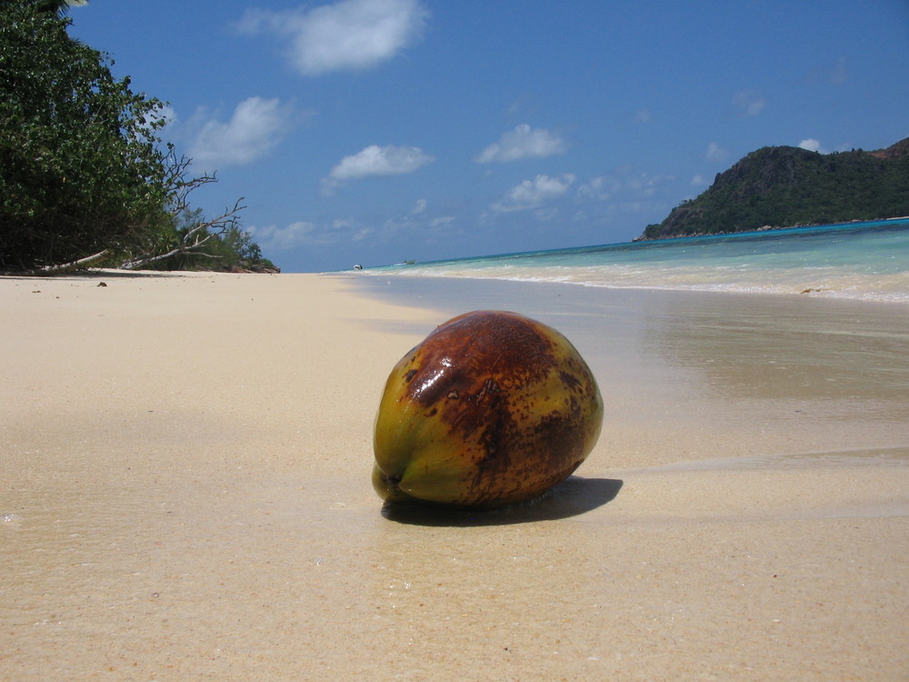 Anse Volbert, Praslin