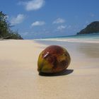 Anse Volbert, Praslin