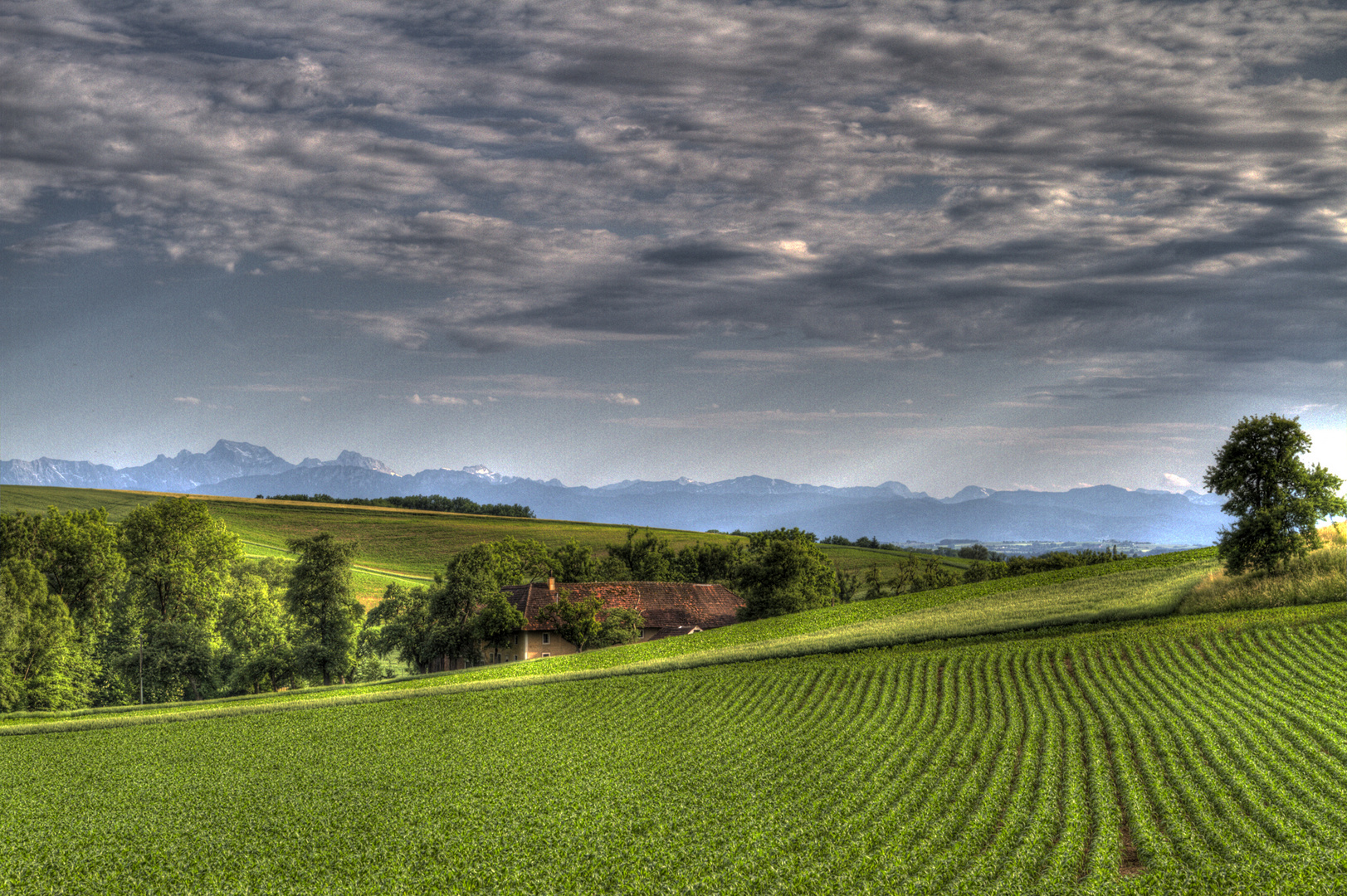 Ansfelden - Oberösterreich