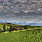 Ansfelden - Oberösterreich