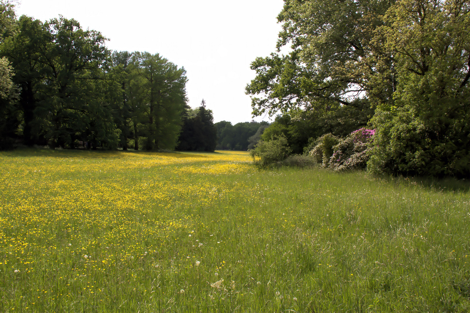 Ansicht aus dem Schlosspark von Sans Souci