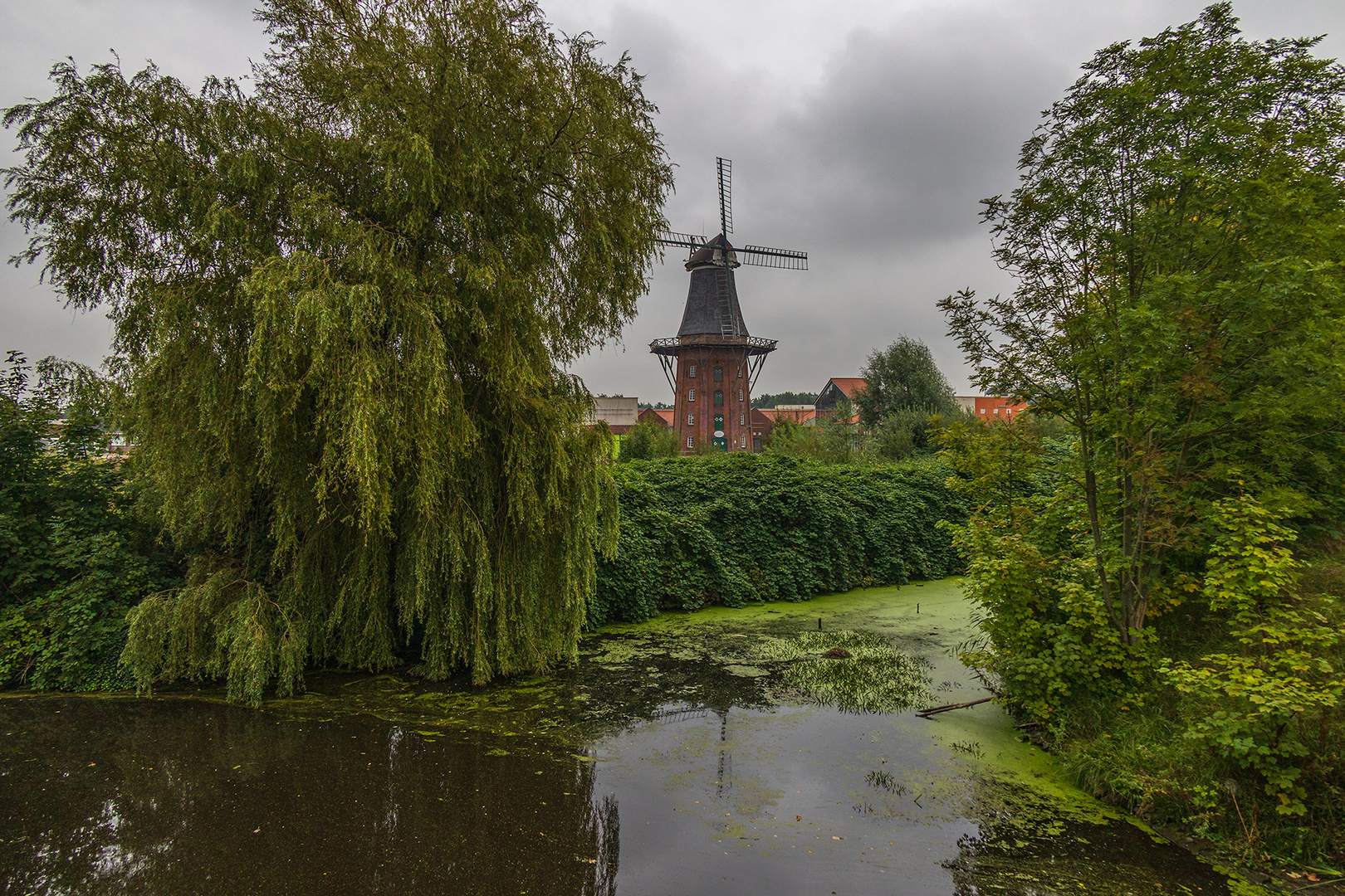 Ansicht aus Ostfriesland