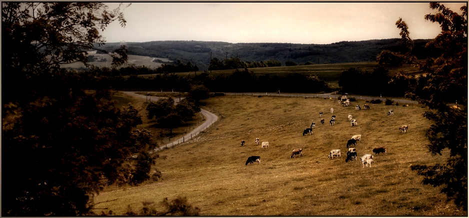 …. Ansicht bei Rheinböllen ……..