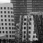 Ansicht der Gehry Bauten im Medienhafen Düsseldorf