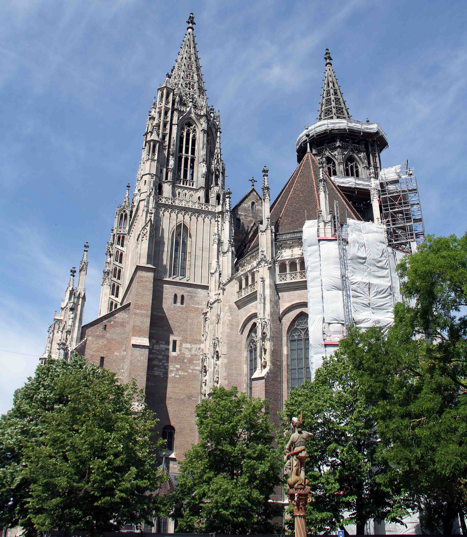 Ansicht des Ulmer Münster