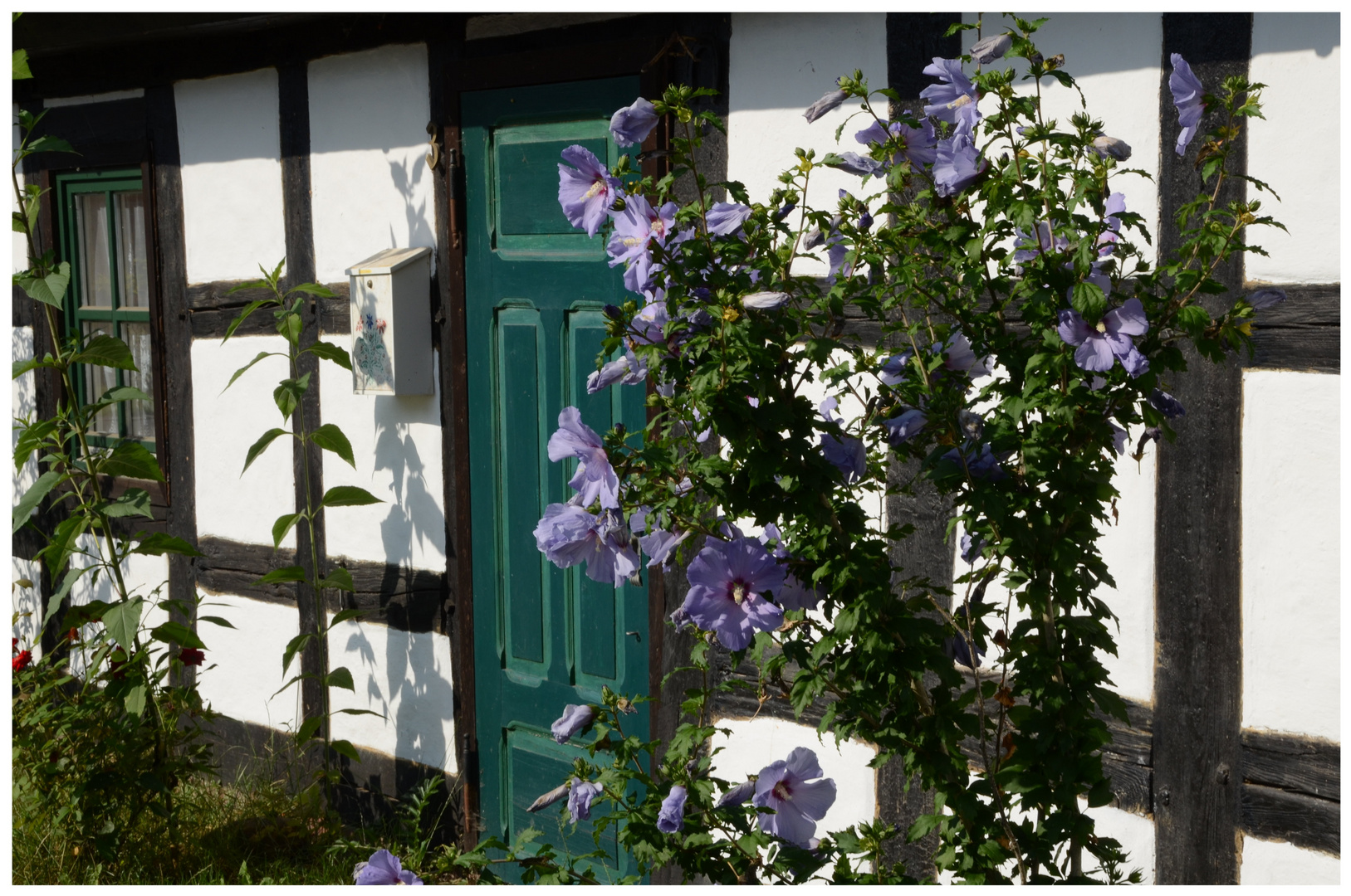 Ansicht eines Fachwerkhauses im Spreewald