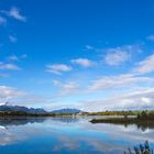 Ansicht Forggensee Panorama