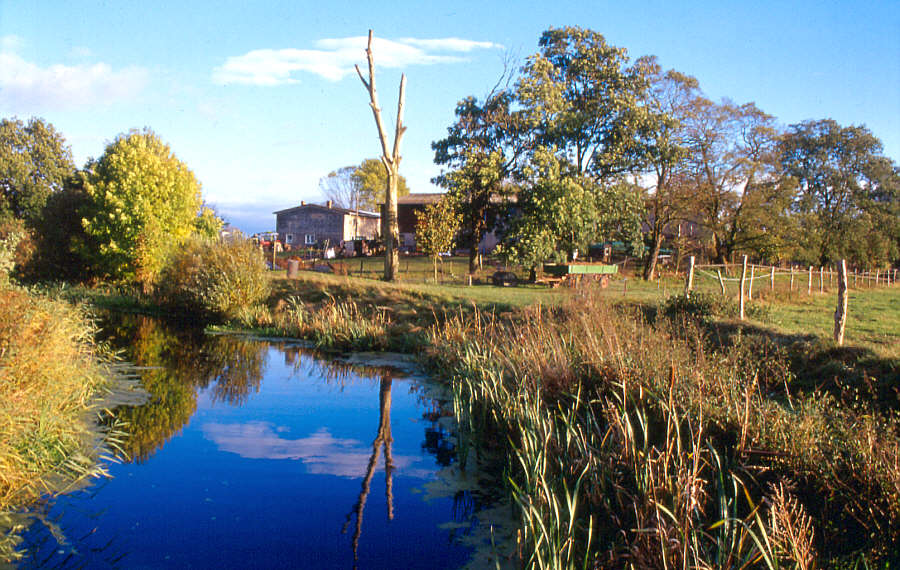 Ansicht in Linum