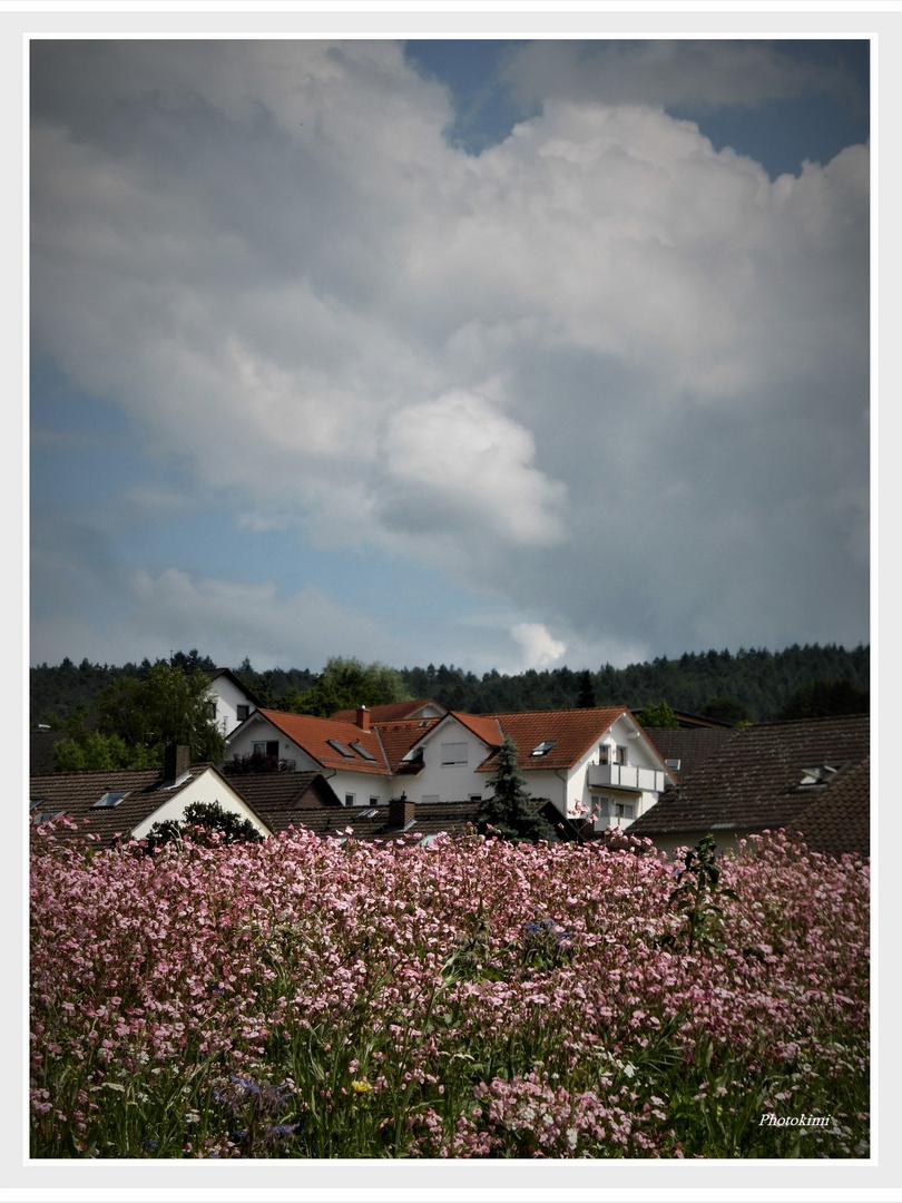 Ansicht mit dem Blumenbeet